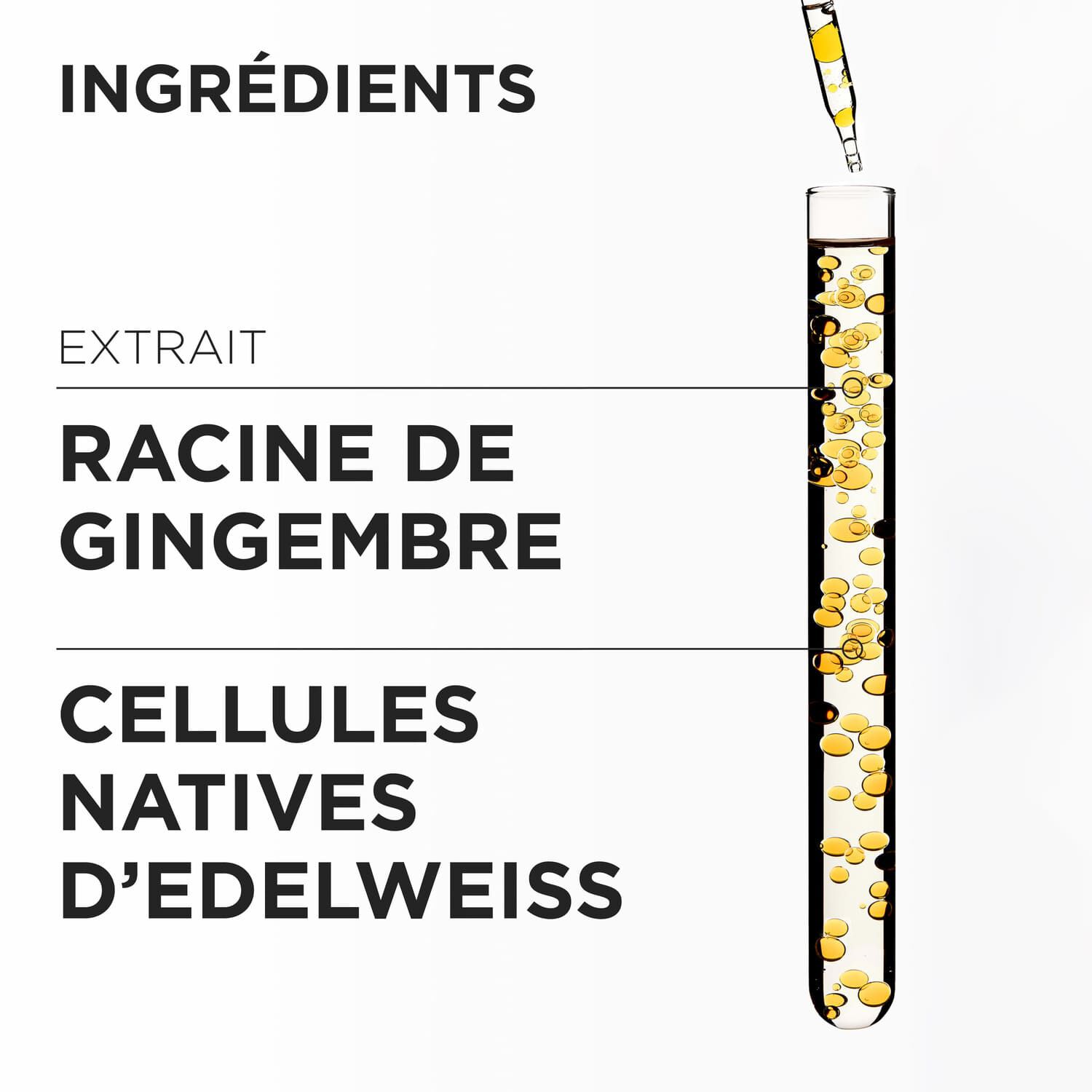 Bain Rechargeable 500ml Nutri-Fortifiant